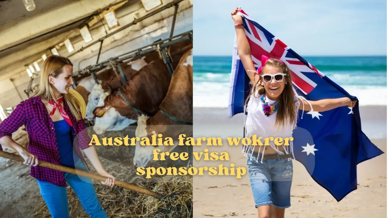 Australia Dairy Farm Jobs with Visa Sponsorship 2025: Apply Now