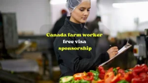 Canada Farm Worker Visa Sponsorship 2025 – Apply Now